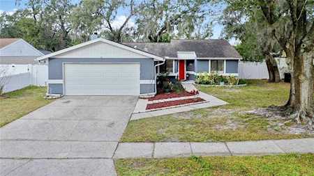 5339 Black Pine Dr Tampa, FL 33624