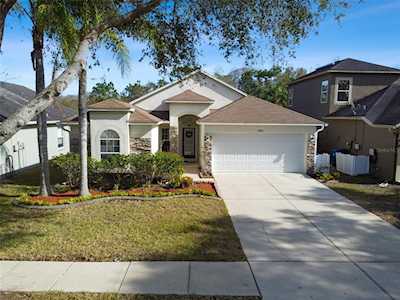 10850 Wild Cotton Ct Land O Lakes, FL 34638