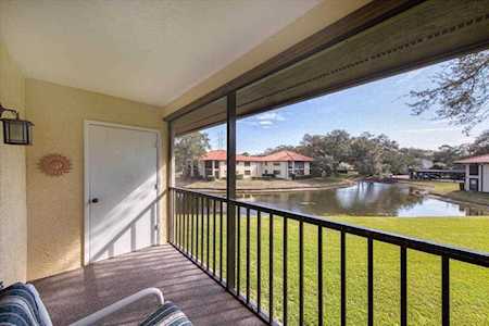 212 Hammock Pine Blvd #212 Clearwater, FL 33761