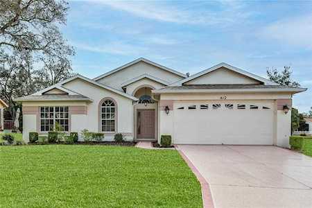 412 Mistwood Ct Spring Hill, FL 34609