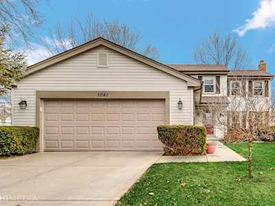 1041 Shambliss Ct Buffalo Grove, IL 60089