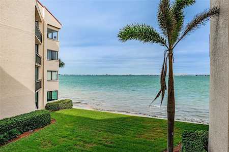 5541 Puerta Del Sol Blvd S #217 St. Petersburg, FL 33715