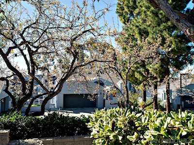 11125 Caminito Vista Serena San Diego, CA 92131
