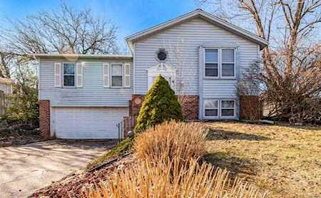 167 Mill Run Ln St Peters, MO 63376