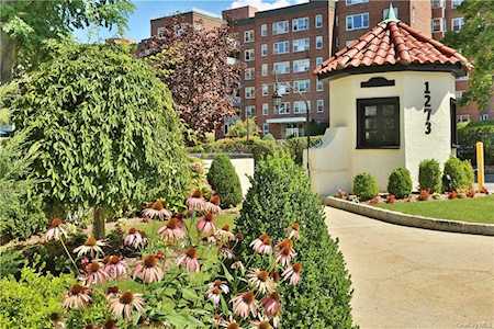 1273 North Avenue #4h-1 New Rochelle, NY 10804