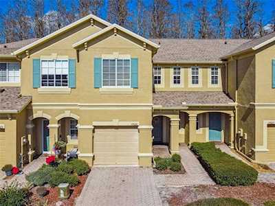 17525 Hugh Ln Land O Lakes, FL 34638