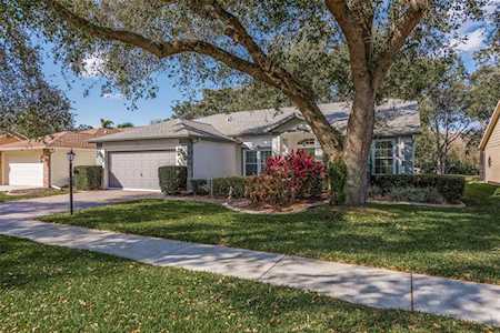 6513 Country Ridge Ln New Port Richey, FL 34655