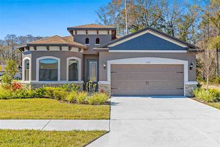 11347 Weaver Hollow Rd New Port Richey, FL 34654