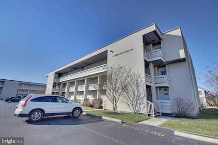 510 Penguin Dr #3040B Ocean City, MD 21842