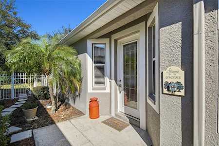 8053 Sanguinelli Rd Land O Lakes, FL 34637