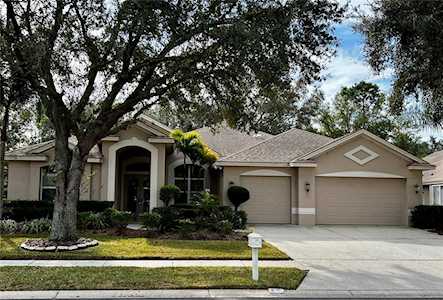 3900 Mimosa PLACE Palm Harbor, FL 34685