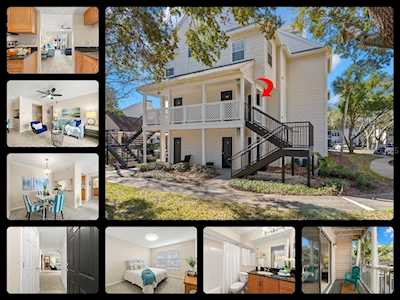 3311 Haviland Ct #203 Palm Harbor, FL 34684