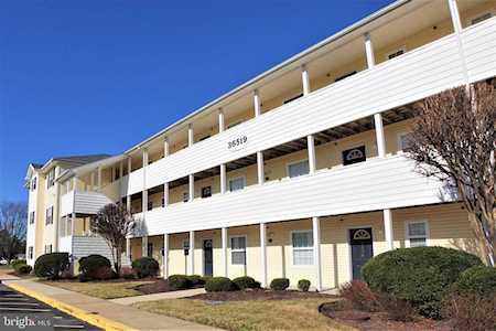36519 Palm Dr Rehoboth Beach, DE 19971
