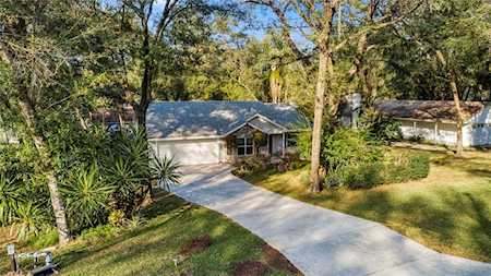 25141 Albia Ave Sorrento, FL 32776