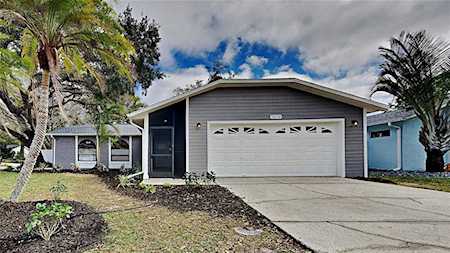 2475 Gulfbreeze CIRCLE Palm Harbor, FL 34683