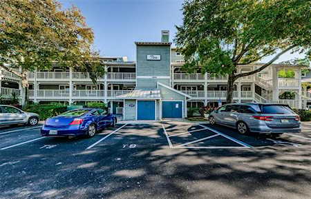 2599 Dolly Bay Dr #303 Palm Harbor, FL 34684