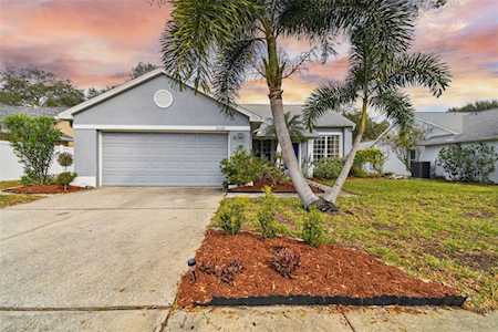 2683 Aspen Ct Palm Harbor, FL 34684