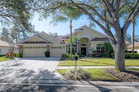 3516 Woodridge PLACE Palm Harbor, FL 34684