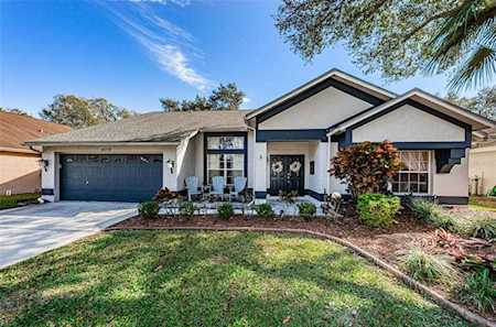 4019 Eagle Cove West Dr Palm Harbor, FL 34685