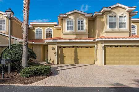 1262 Ribolla Dr Palm Harbor, FL 34683