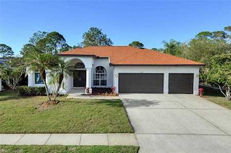 16340 Birkdale Dr Odessa, FL 33556