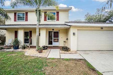 56 Harbor Oaks CIRCLE Safety Harbor, FL 34695