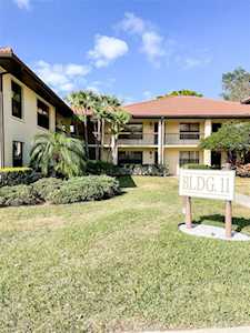 1101 Hammock Pine Blvd Clearwater, FL 33761