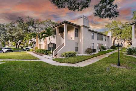 3021 Bonaventure CIRCLE #203 Palm Harbor, FL 34684