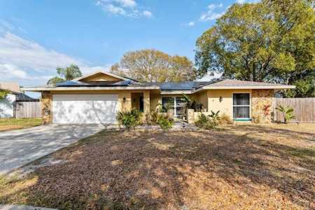 1387 Chelsea Dr Tarpon Springs, FL 34689