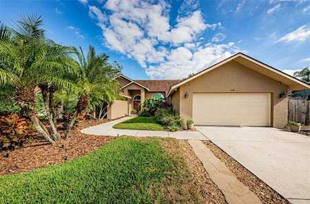 5526 Oakridge Dr Palm Harbor, FL 34685