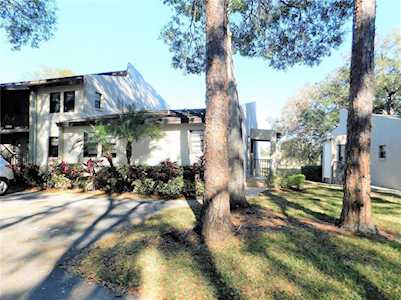 1000 Tarpon Woods Blvd #301 Palm Harbor, FL 34685