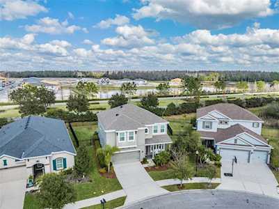 33355 Whisper Pointe Dr Wesley Chapel, FL 33545
