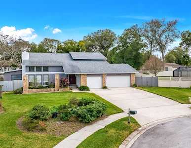 1496 Treetop Dr Palm Harbor, FL 34683