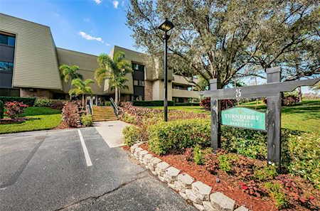 36750 Us Highway 19 N #25-304 Palm Harbor, FL 34684