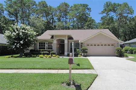 3362 Laurelwood Ct Tarpon Springs, FL 34688