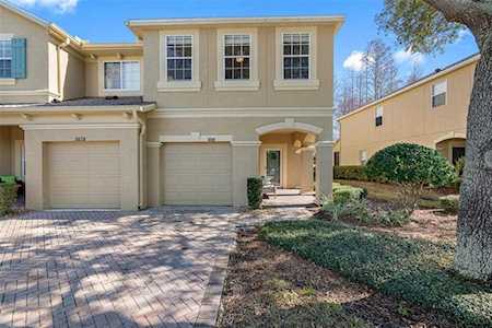 3018 Girvan Dr Land O Lakes, FL 34638