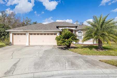 24239 Lakerush Ct Lutz, FL 33559