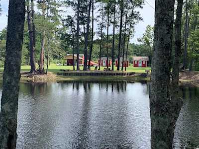139 Pumpkin Ash Loop Conway, SC 29527