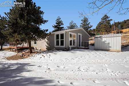 1060 Mane Street Woodland Park, CO 80863