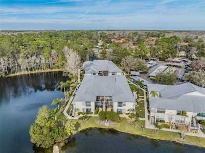 3374 Mermoor Dr #2102 Palm Harbor, FL 34685