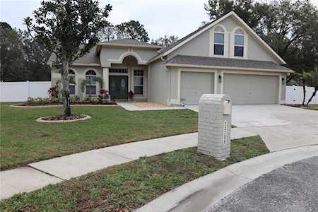 22206 Feather Nest Ct Lutz, FL 33549
