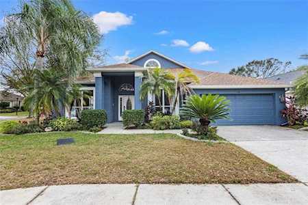 1130 Split Silk St Valrico, FL 33594