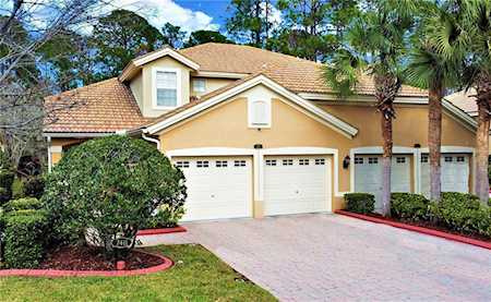 7411 Purslane Dr Trinity, FL 34655