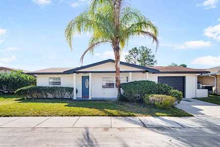 1815 Greenwood Dr Oldsmar, FL 34677