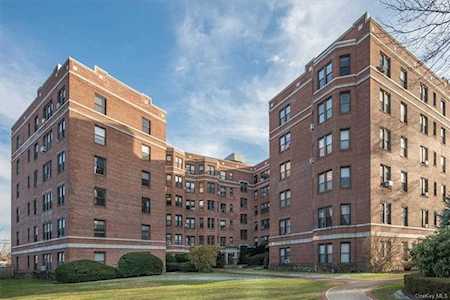11 Alden Road #5M Larchmont, NY 10538