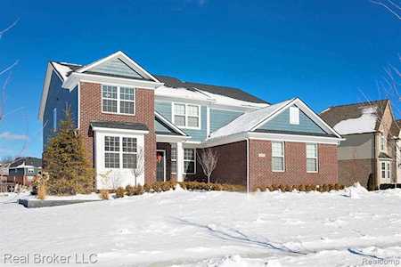 51610 Cove Dr Lyon Twp, MI 48178