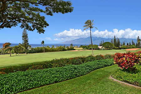 50 Puu Anoano St #3105 Lahaina, HI 96761