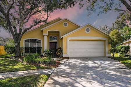 10304 Springrose Dr Tampa, FL 33626