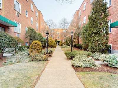 49 Colborne Road #1 Boston, MA 02135