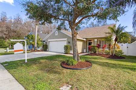 418 Cypress View Dr Oldsmar, FL 34677
